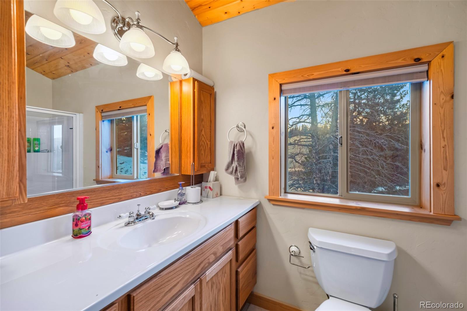 MLS Image #29 for 1081  travois road,como, Colorado