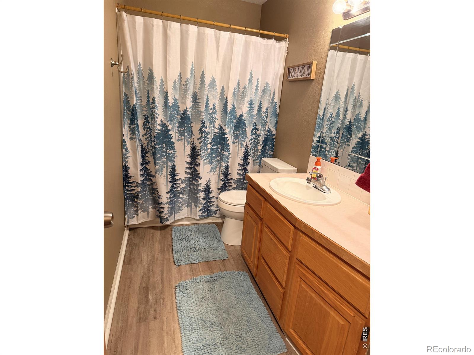 MLS Image #13 for 1363 w 6th street,loveland, Colorado