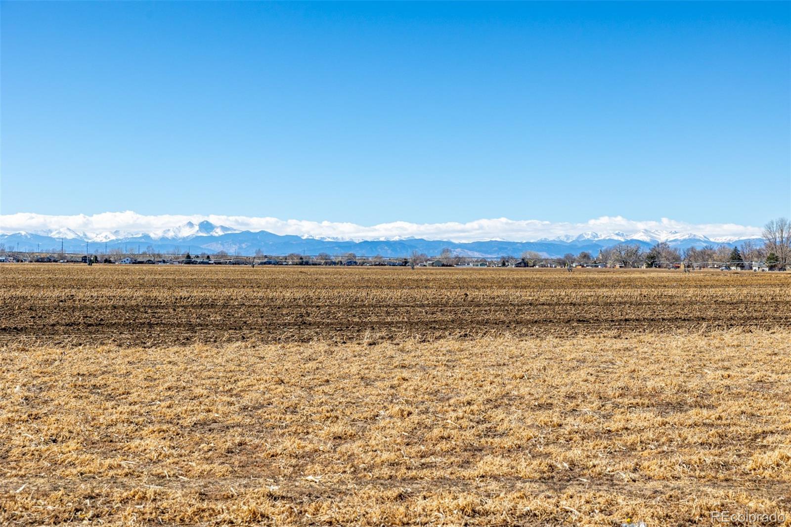 MLS Image #42 for 1875  rancher drive,milliken, Colorado
