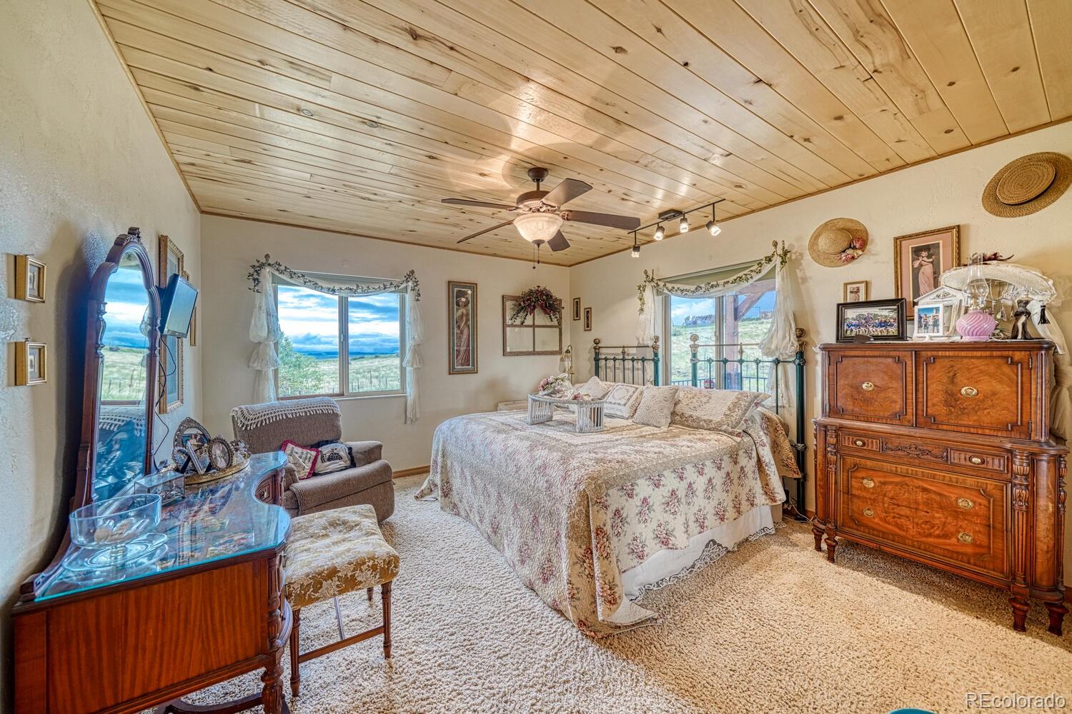 MLS Image #18 for 381  cynthia lane,westcliffe, Colorado