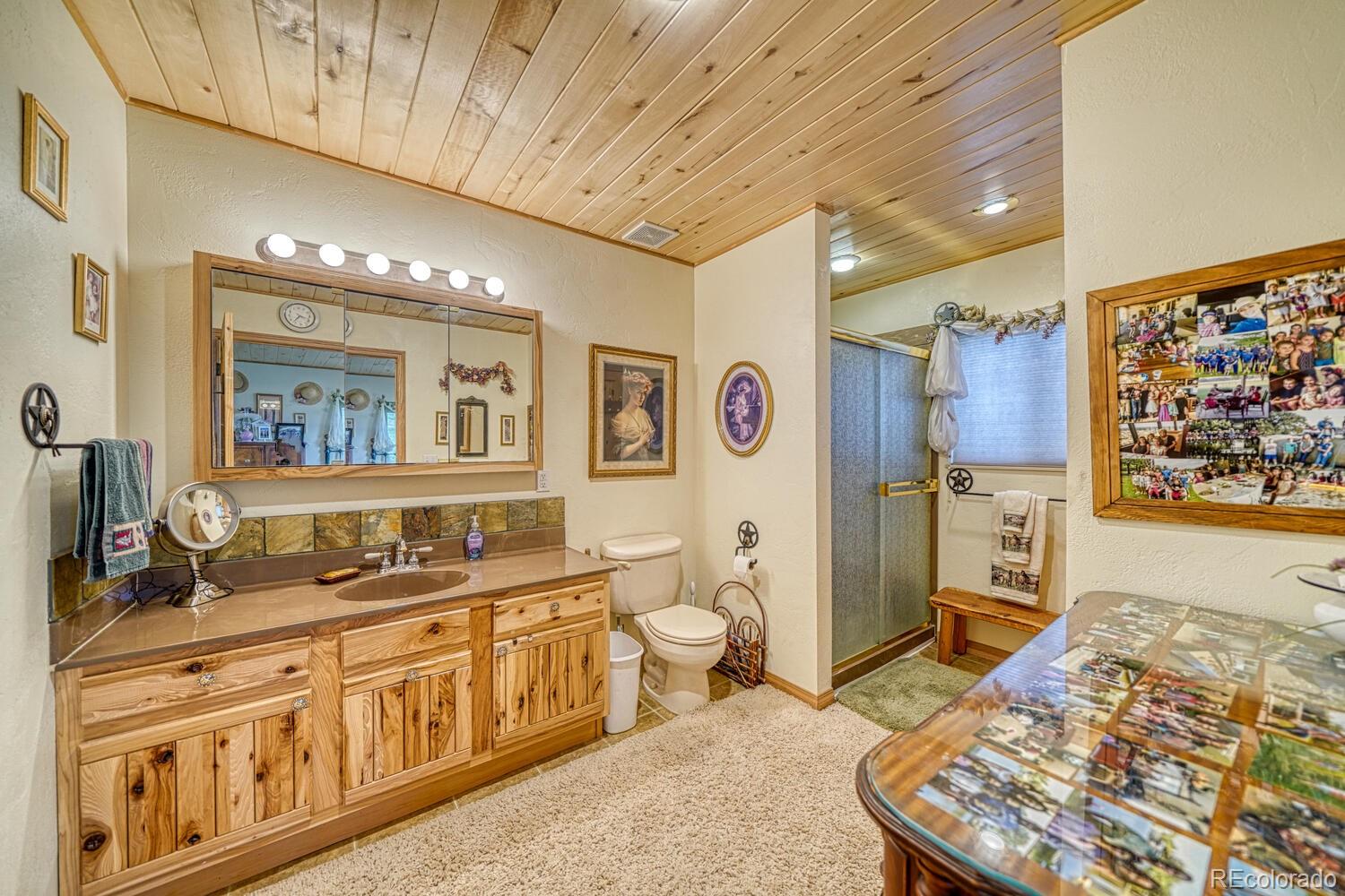 MLS Image #21 for 381  cynthia lane,westcliffe, Colorado