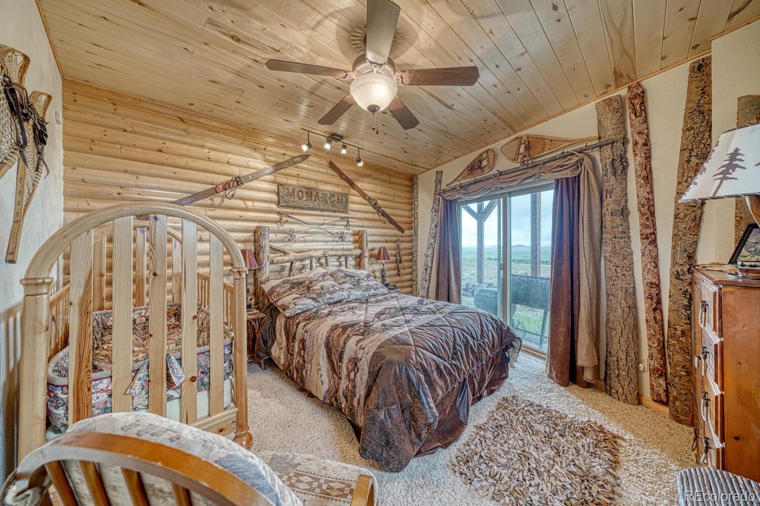 MLS Image #28 for 381  cynthia lane,westcliffe, Colorado