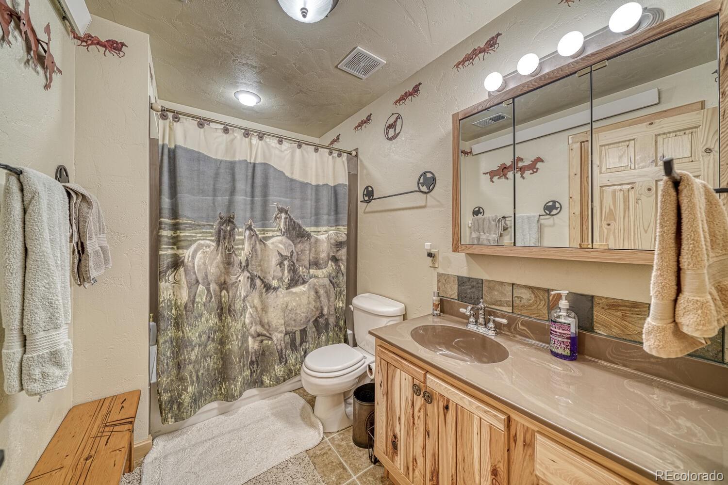 MLS Image #30 for 381  cynthia lane,westcliffe, Colorado