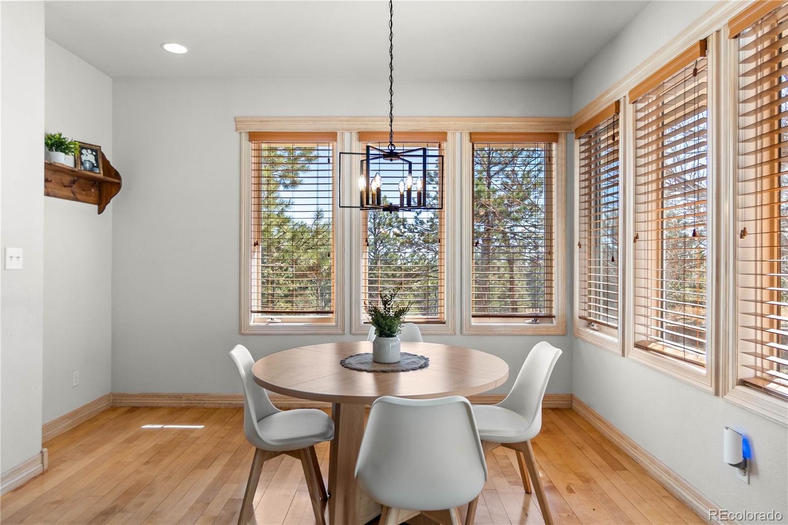 MLS Image #10 for 11430  roslyn road,elbert, Colorado