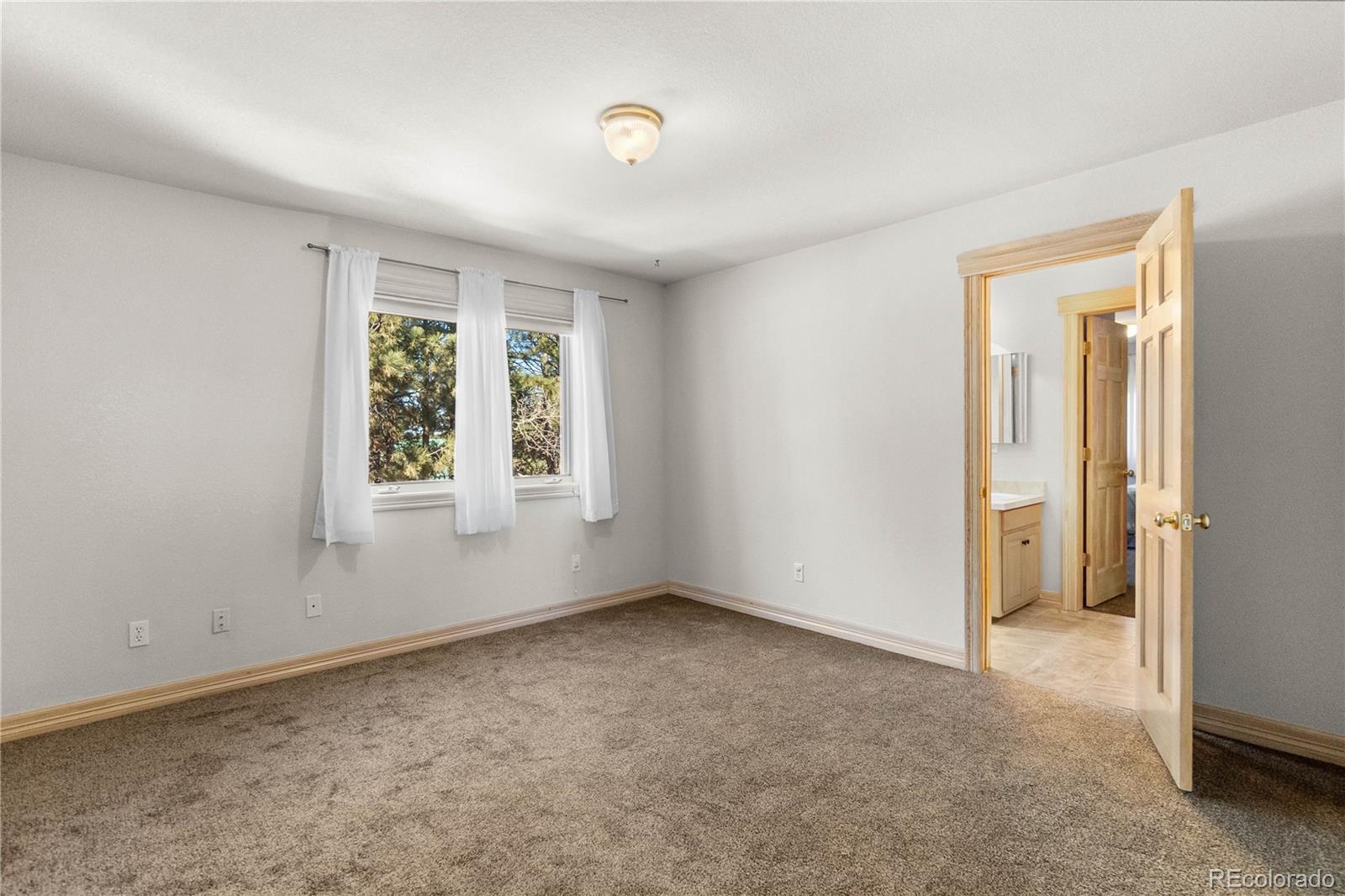 MLS Image #33 for 11430  roslyn road,elbert, Colorado