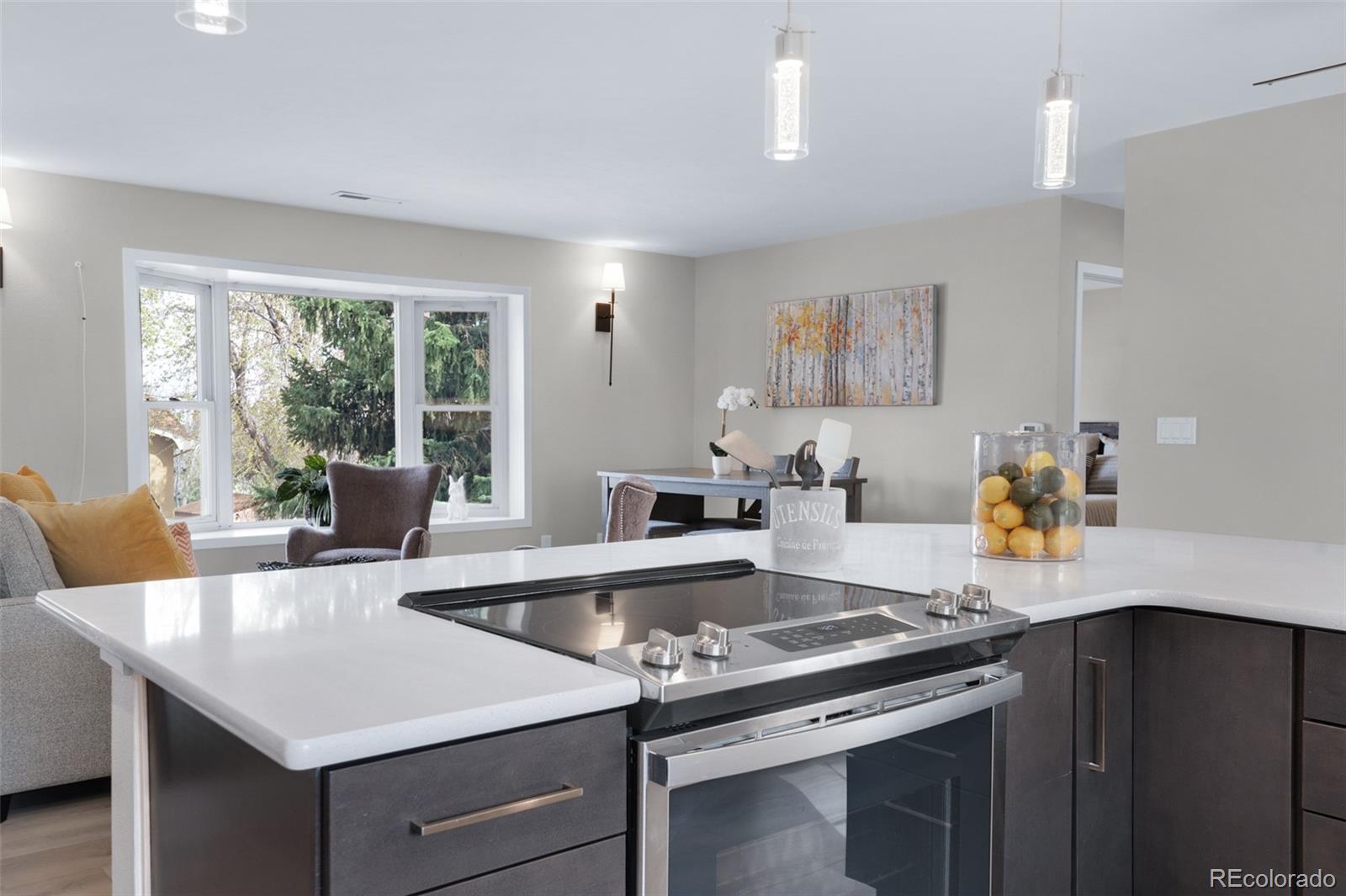 MLS Image #12 for 2620  penacho circle,colorado springs, Colorado