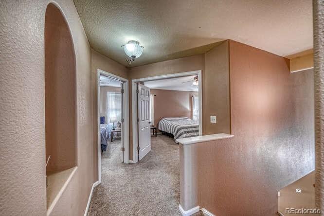 MLS Image #27 for 5369  hospitality place,parker, Colorado