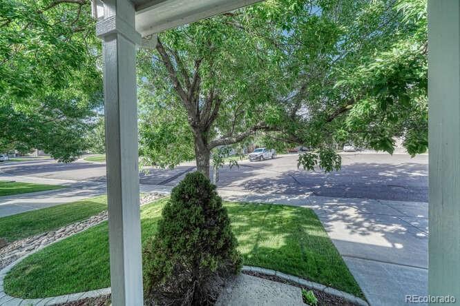 MLS Image #5 for 5369  hospitality place,parker, Colorado