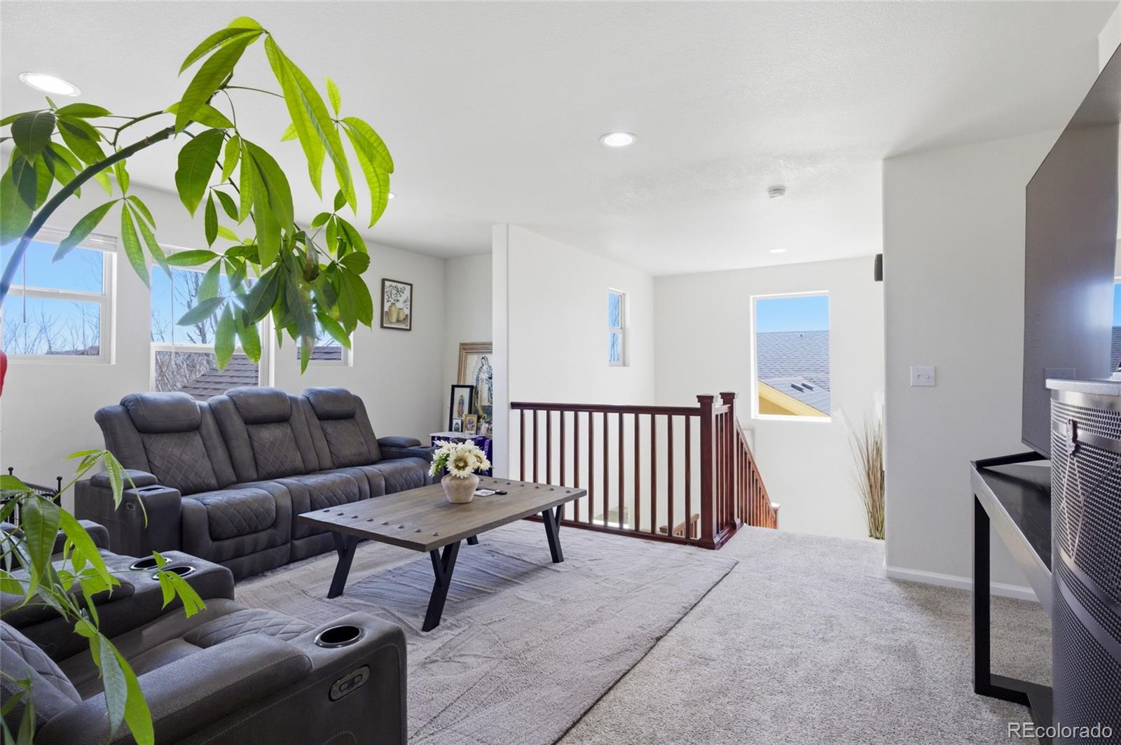 MLS Image #13 for 161 n elk court,aurora, Colorado