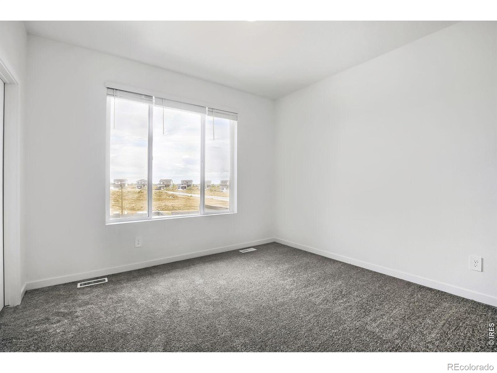 MLS Image #12 for 3584  quincy bay place,loveland, Colorado