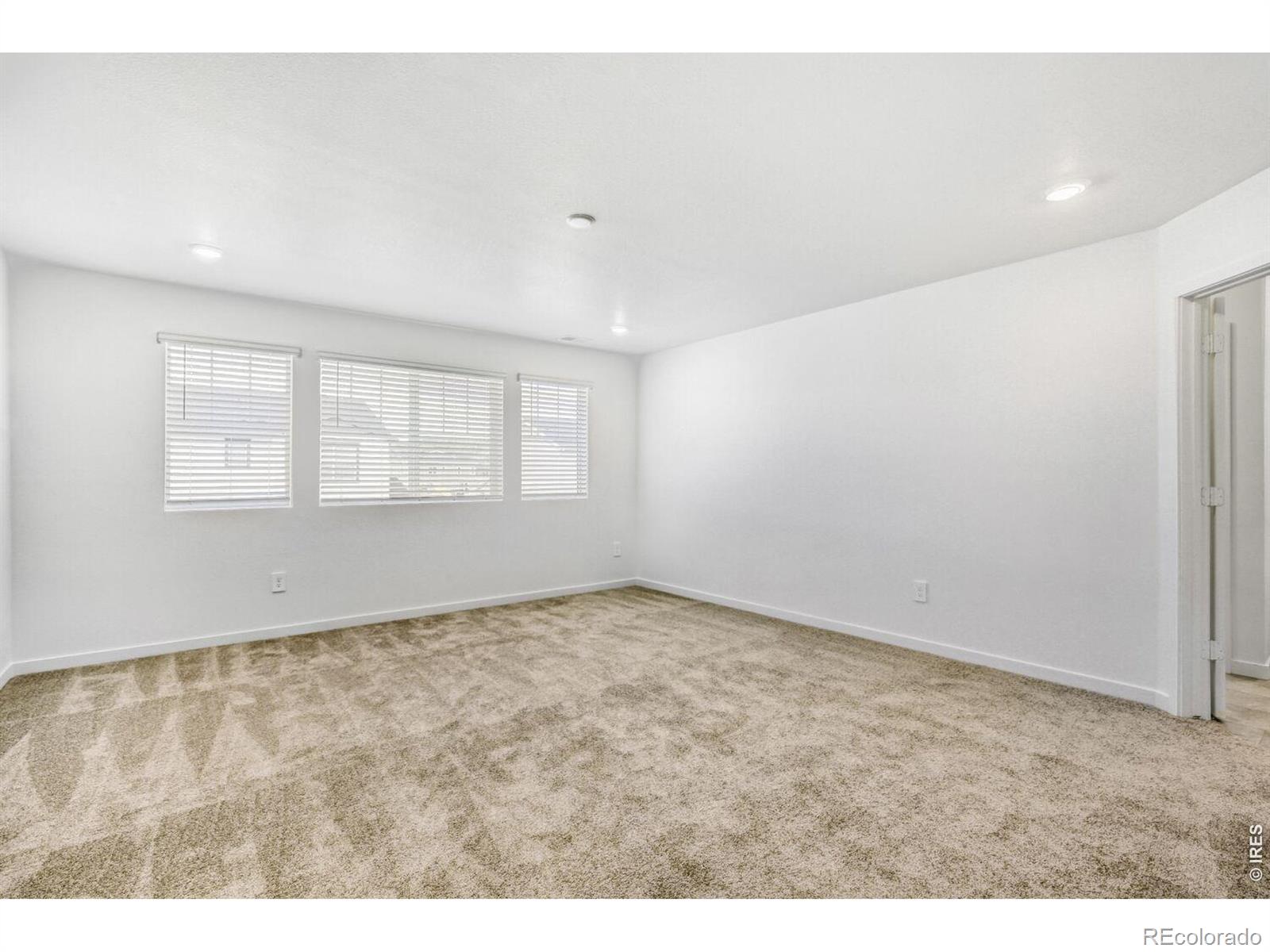 MLS Image #5 for 3005  ironton drive,loveland, Colorado