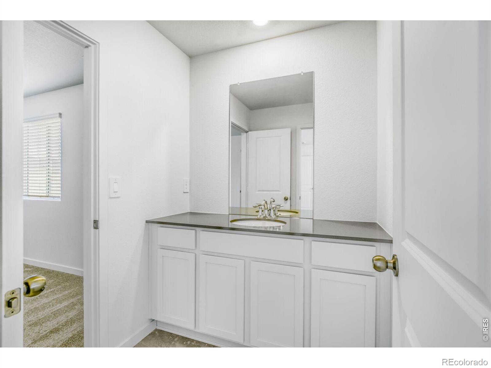 MLS Image #8 for 3005  ironton drive,loveland, Colorado