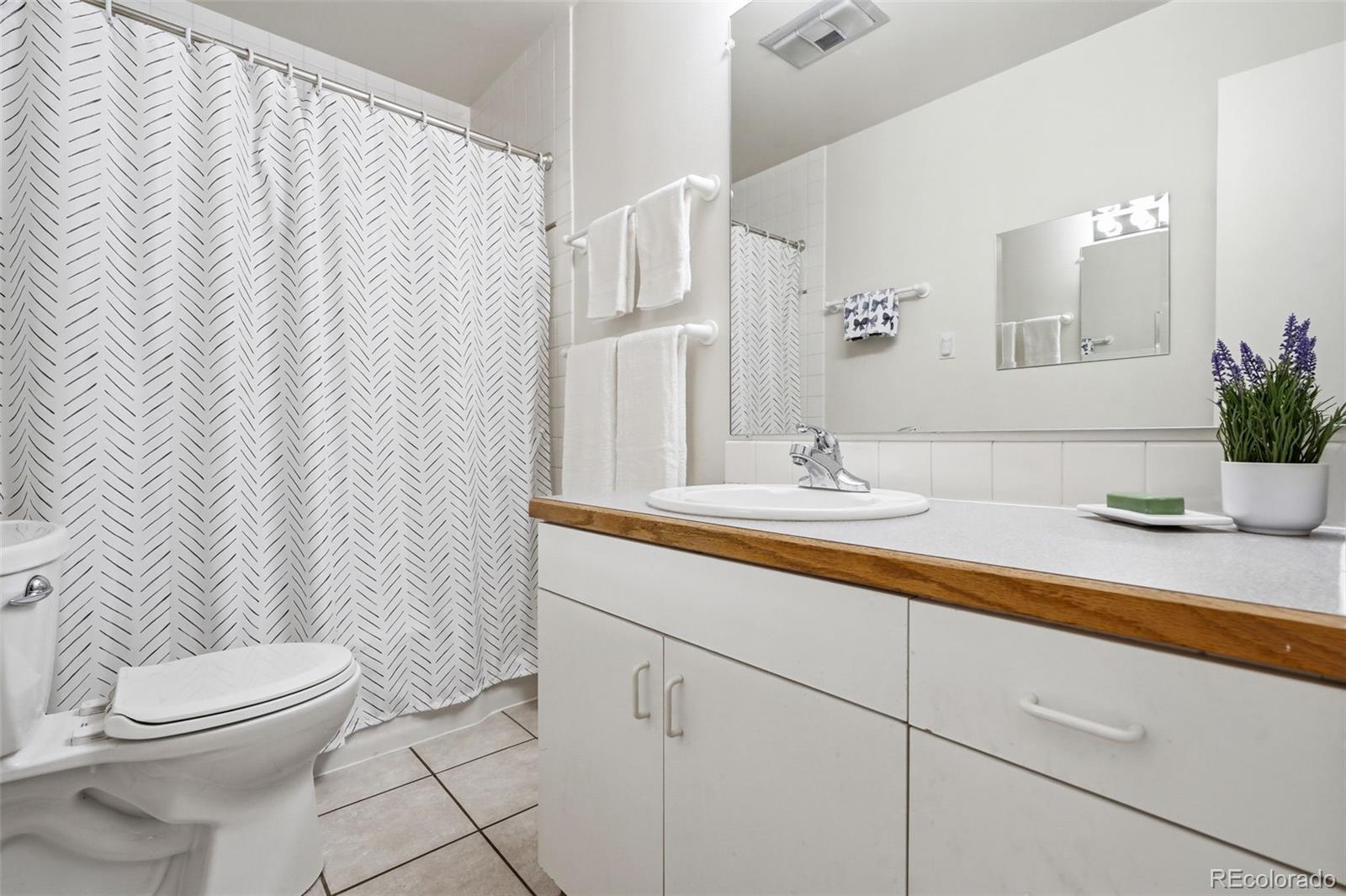 MLS Image #15 for 1000  magnolia street,denver, Colorado