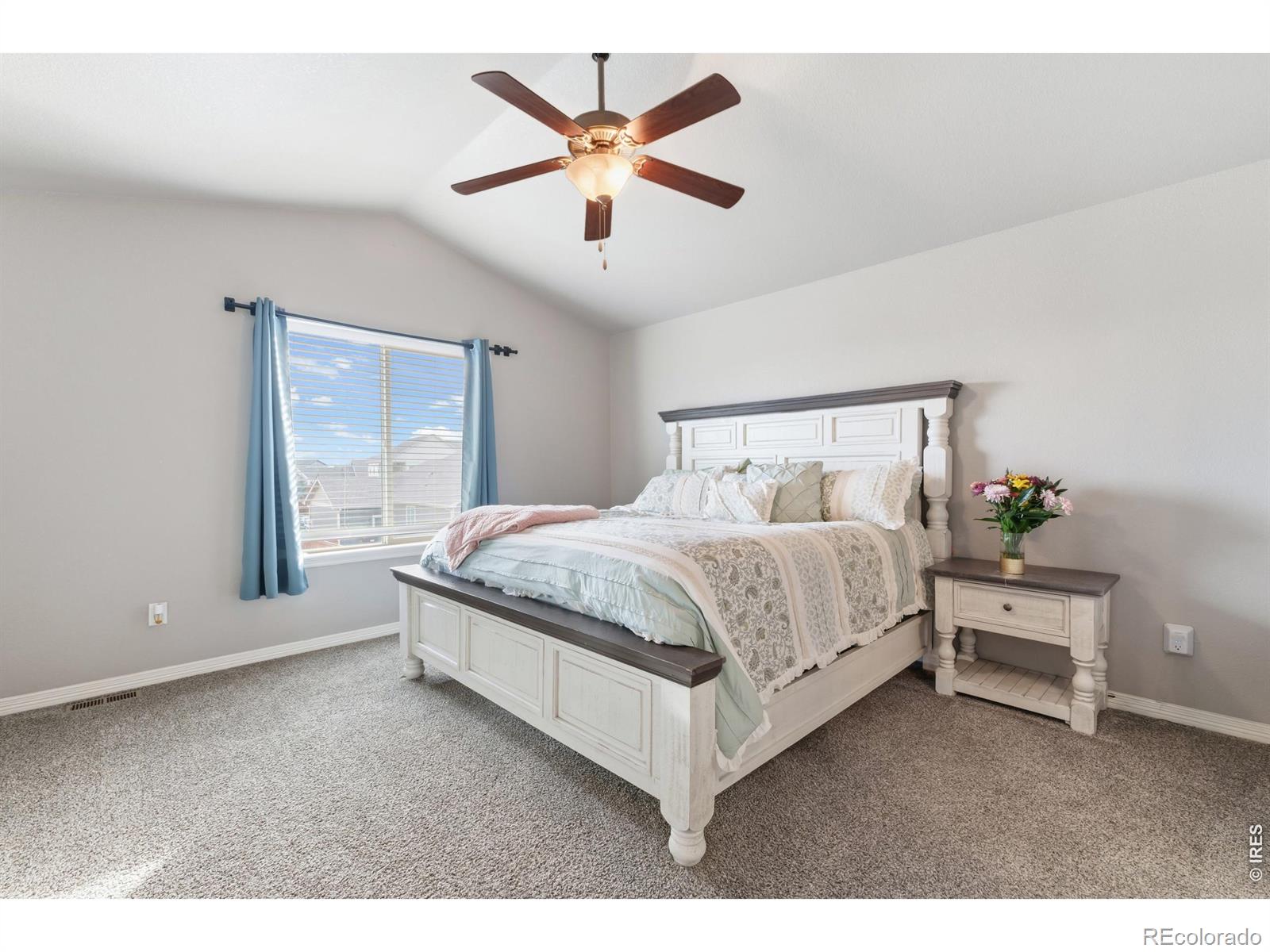 MLS Image #21 for 1515  cirque valley lane,severance, Colorado