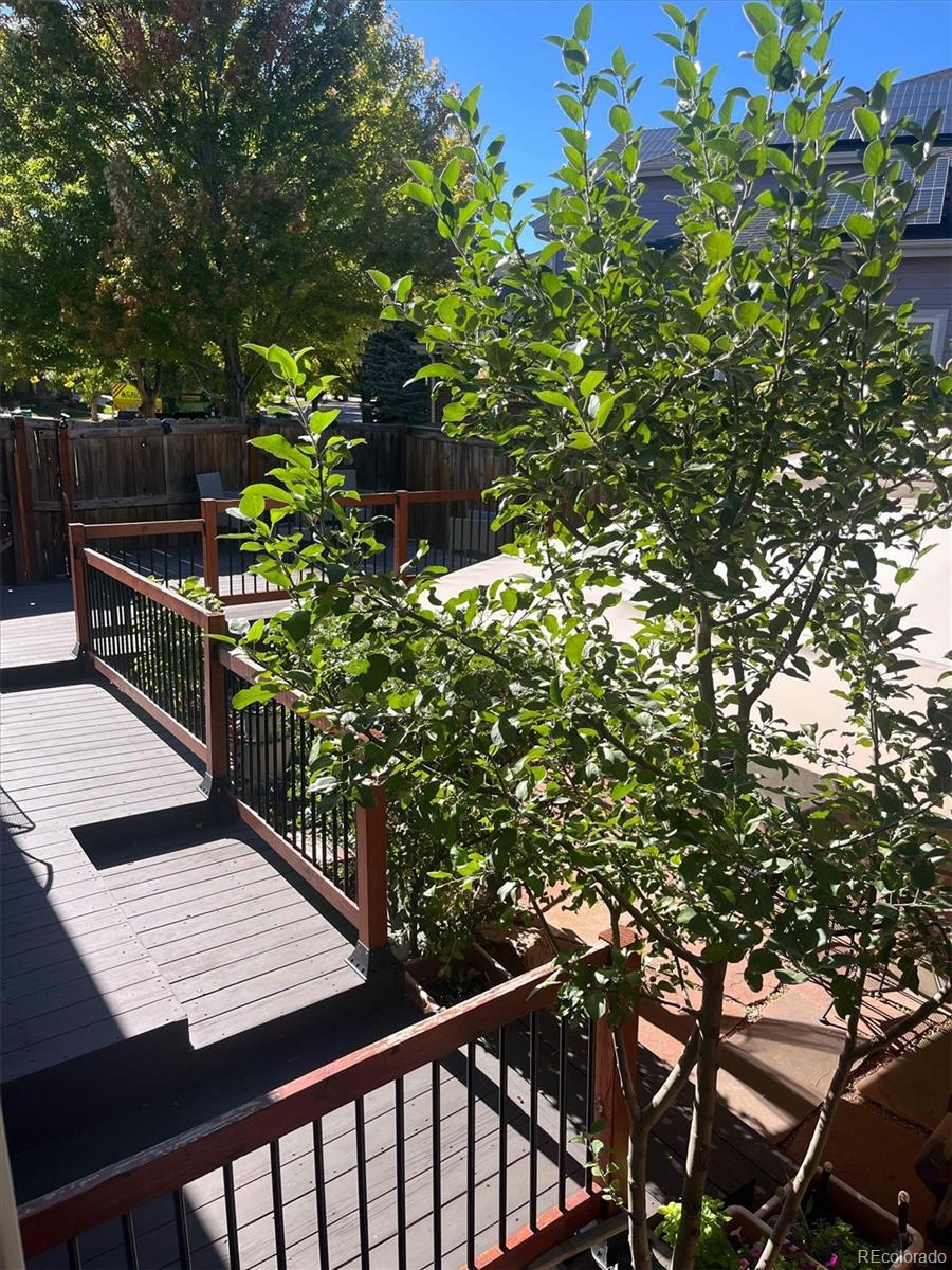 MLS Image #45 for 5524 w ida drive,littleton, Colorado