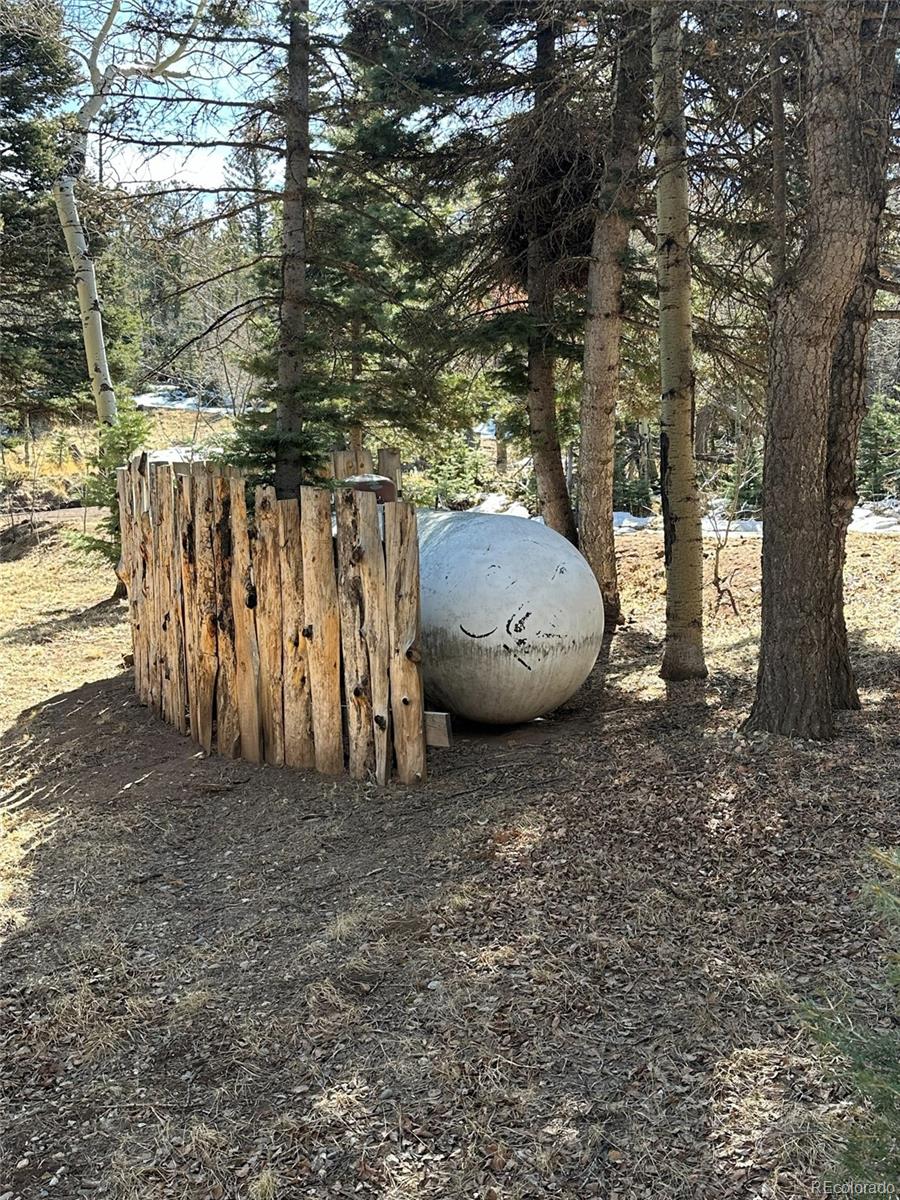 MLS Image #18 for 2945  forbes park road,fort garland, Colorado