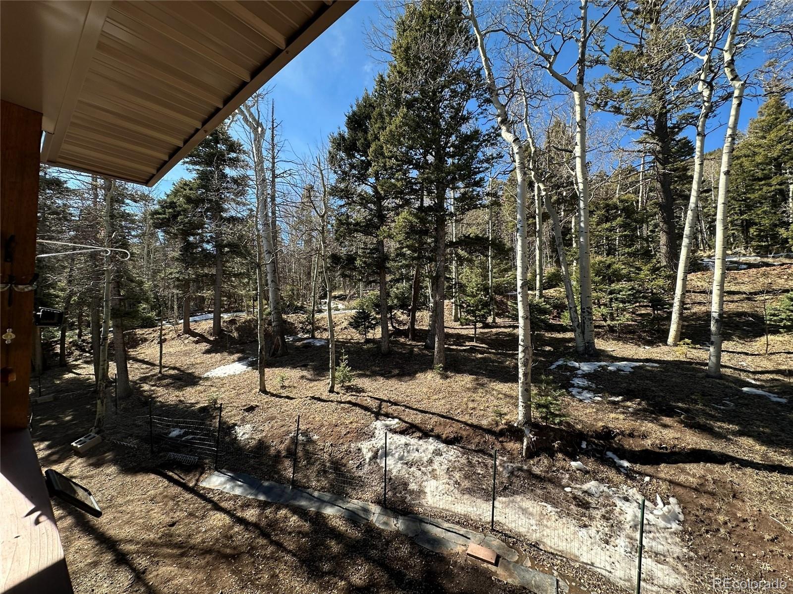 MLS Image #4 for 2945  forbes park road,fort garland, Colorado