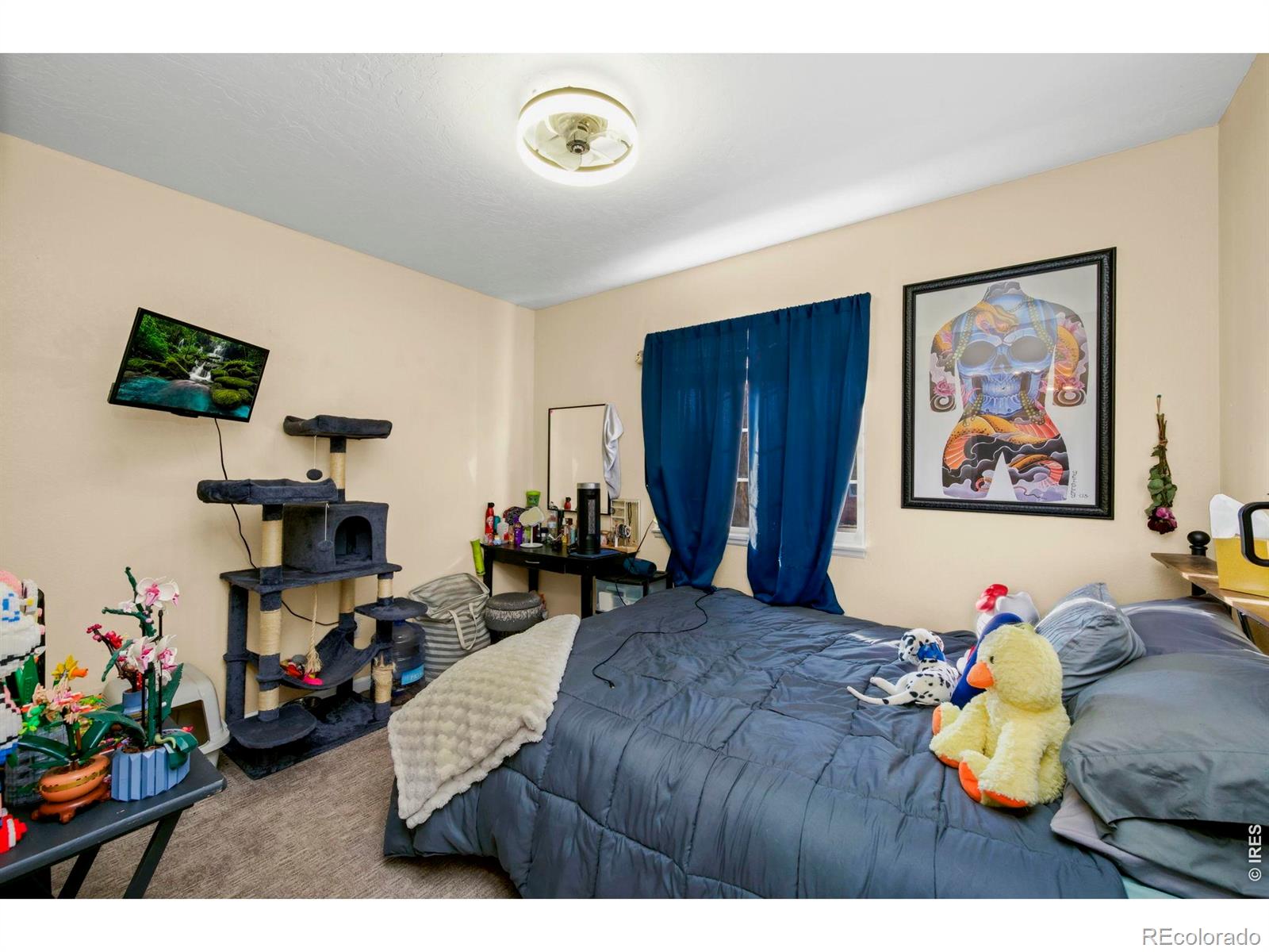 MLS Image #10 for 5225 w 11th st rd,greeley, Colorado