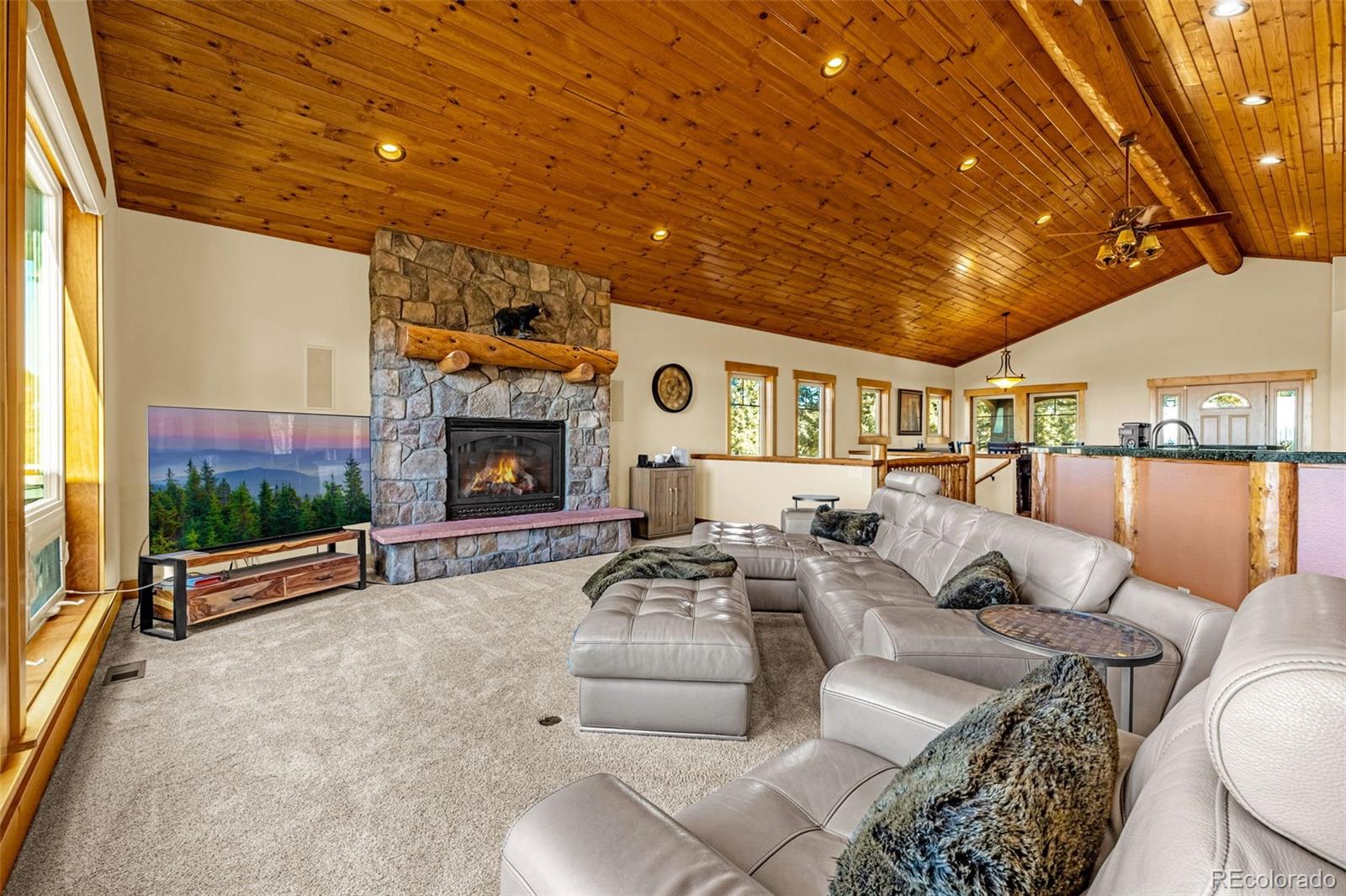 MLS Image #11 for 2638 n mountain estates road,florissant, Colorado