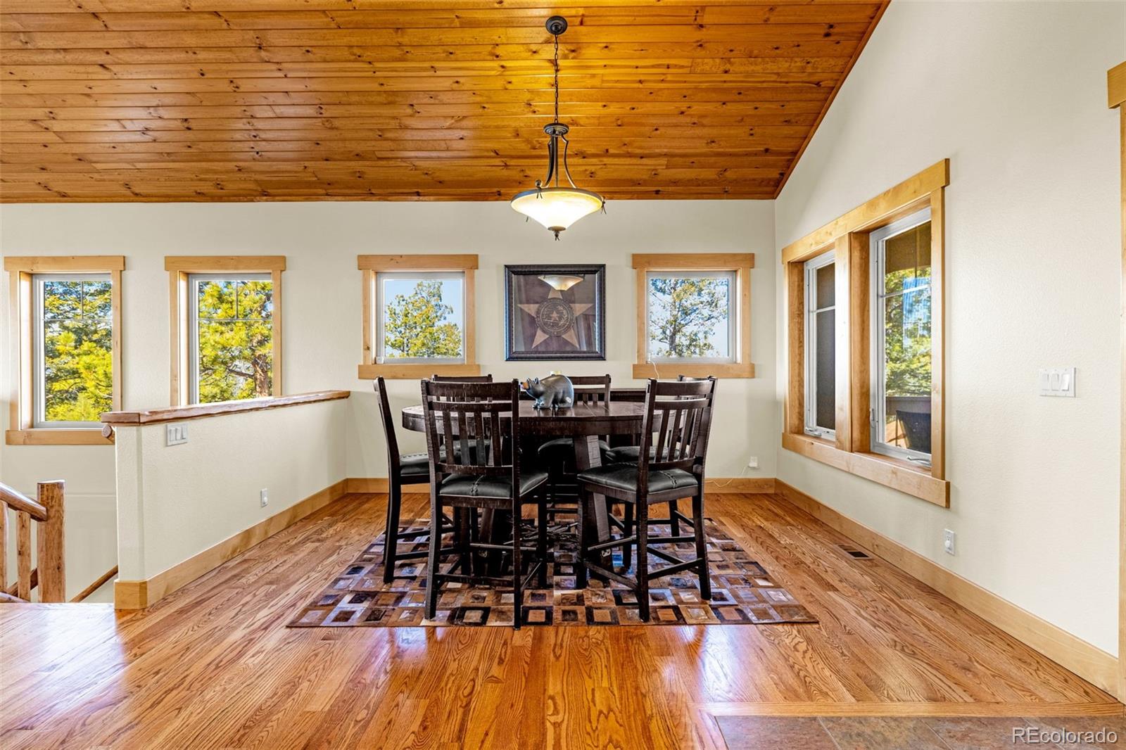 MLS Image #5 for 2638 n mountain estates road,florissant, Colorado