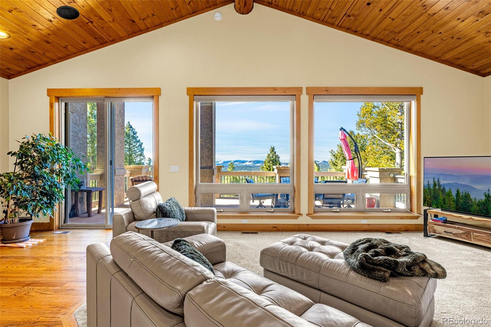 MLS Image #9 for 2638 n mountain estates road,florissant, Colorado