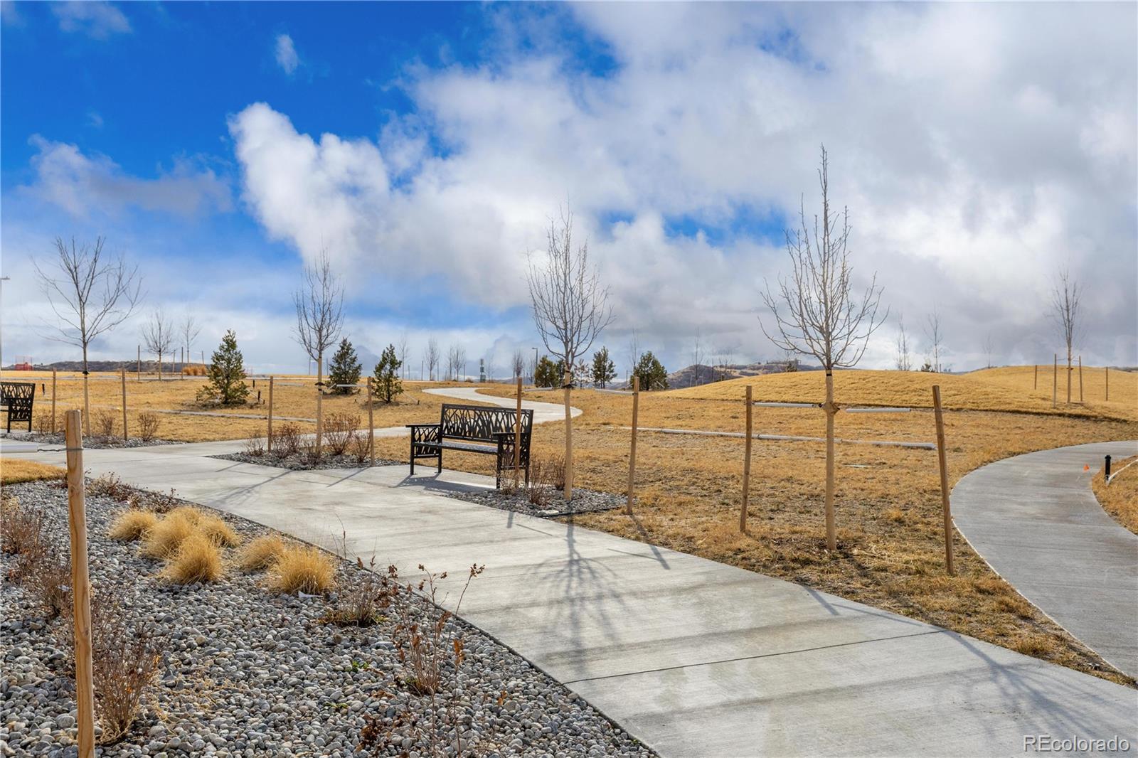 MLS Image #44 for 16772  dry camp drive,parker, Colorado