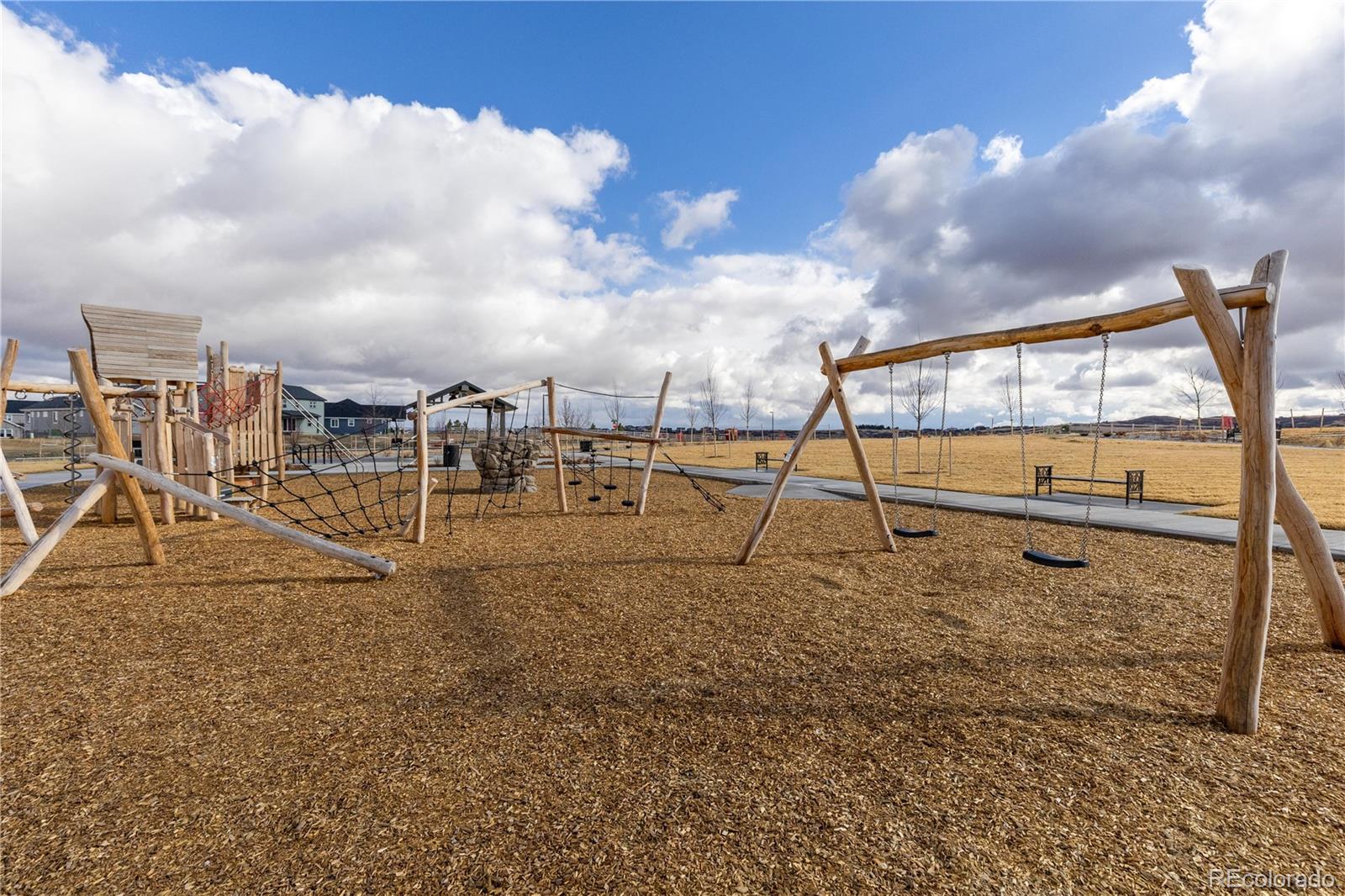 MLS Image #45 for 16772  dry camp drive,parker, Colorado