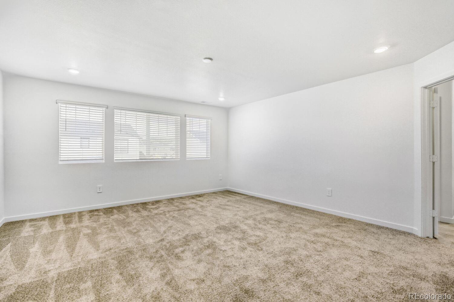 MLS Image #5 for 3005  ironton drive,loveland, Colorado