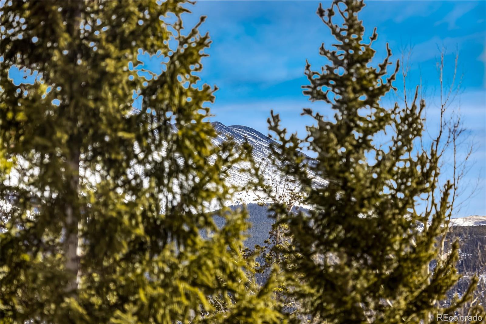 MLS Image #13 for 1001  grandview drive 22,breckenridge, Colorado
