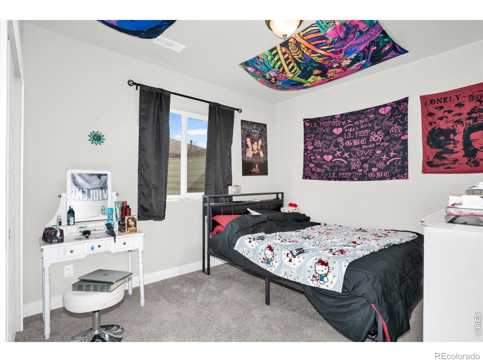 MLS Image #24 for 864  forest canyon road,severance, Colorado