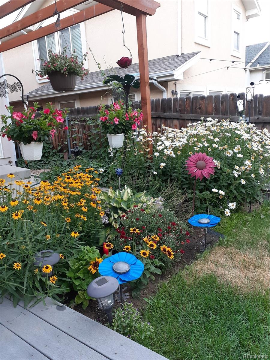 MLS Image #29 for 5308  stuart street,denver, Colorado