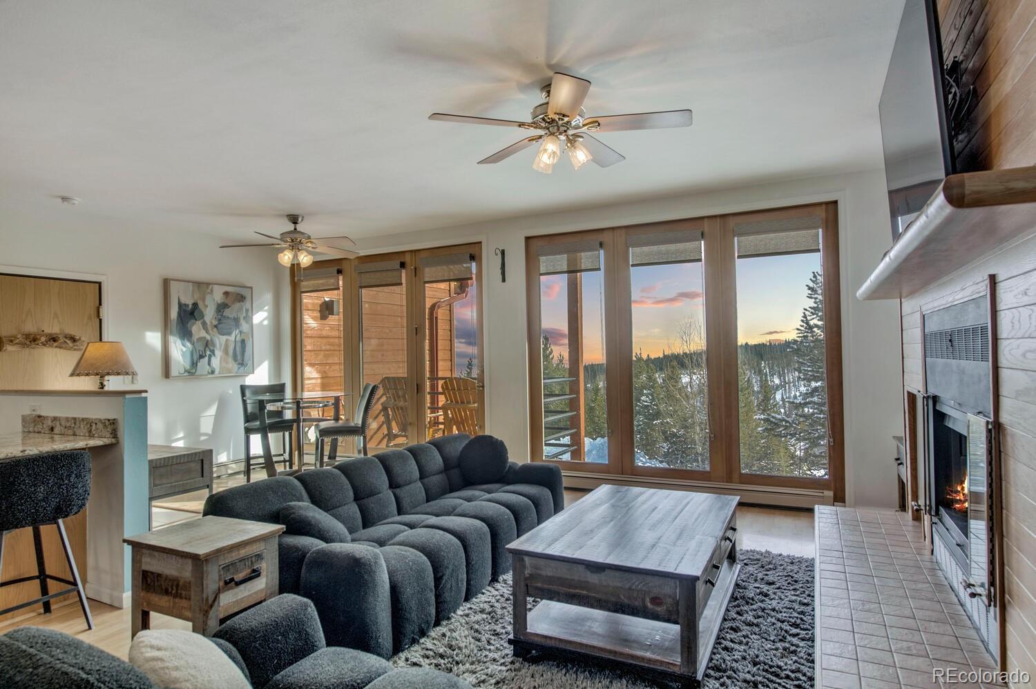 MLS Image #1 for 91500  ryan gulch road,silverthorne, Colorado