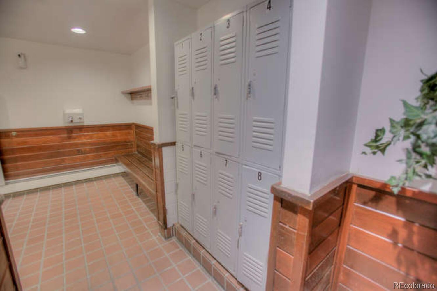 MLS Image #33 for 91500  ryan gulch road,silverthorne, Colorado