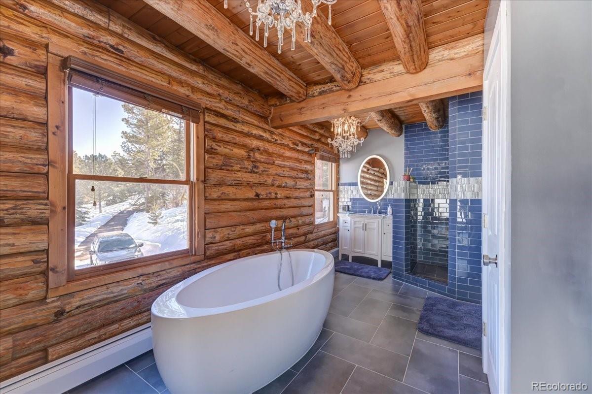 MLS Image #21 for 8752 s ault lane,morrison, Colorado