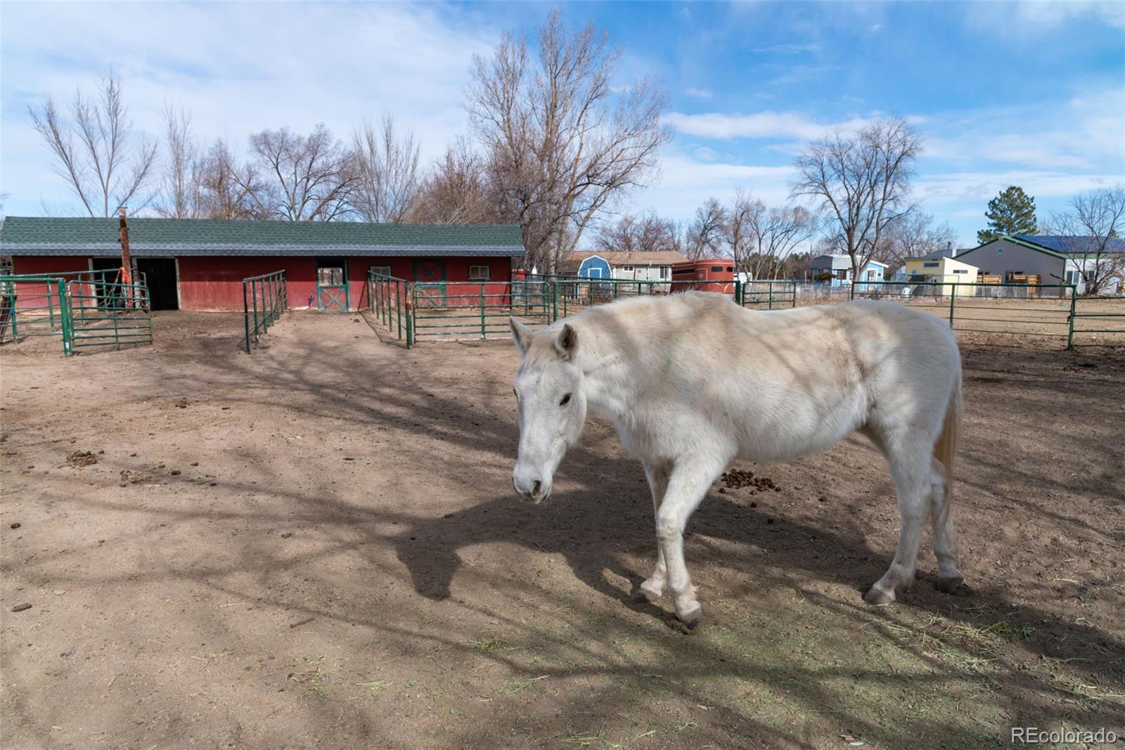 MLS Image #5 for 6263  laodicea road,longmont, Colorado