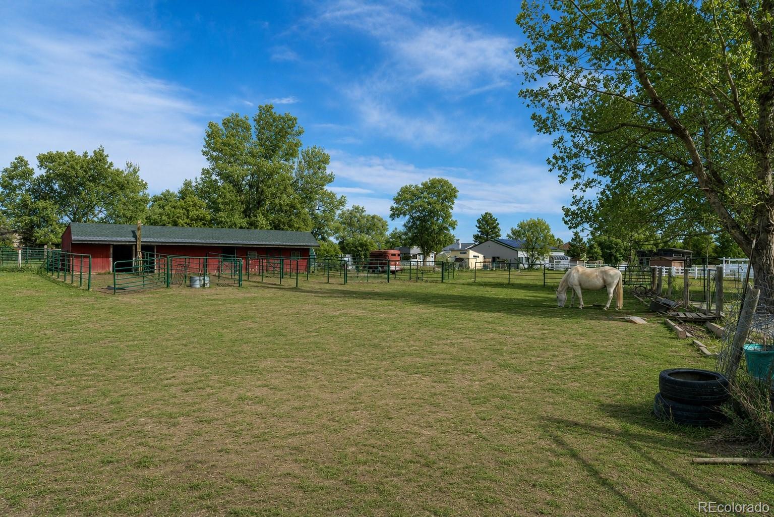 MLS Image #7 for 6263  laodicea road,longmont, Colorado