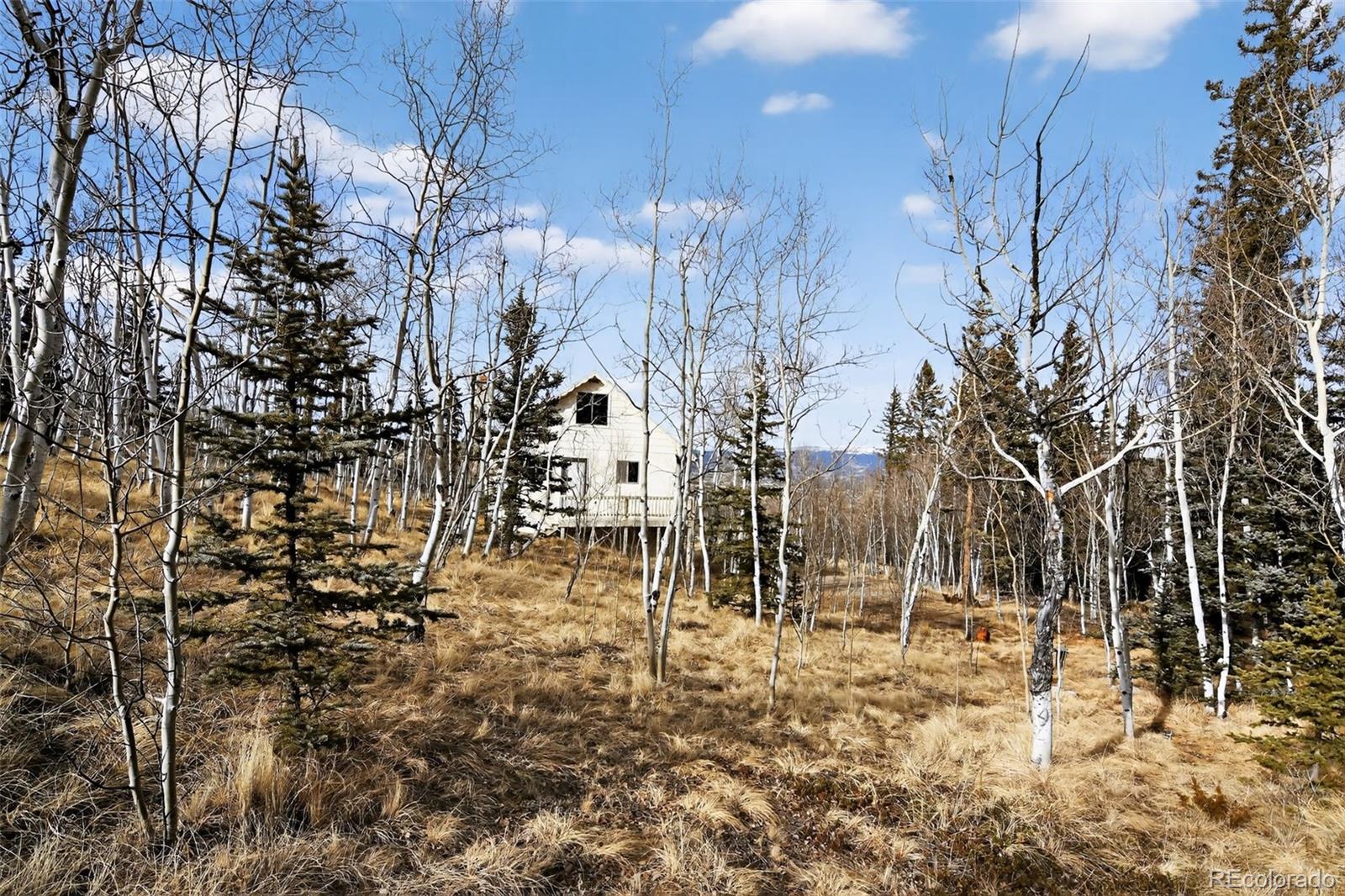 MLS Image #1 for 144  outlaw court,jefferson, Colorado