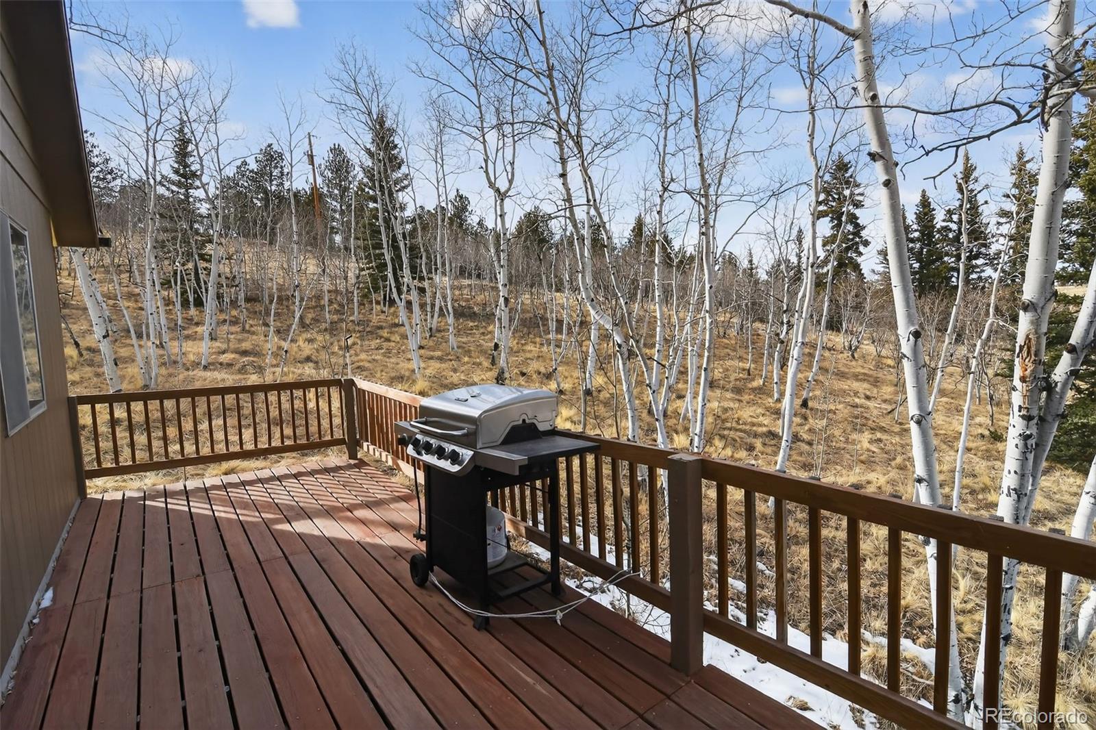 MLS Image #25 for 144  outlaw court,jefferson, Colorado