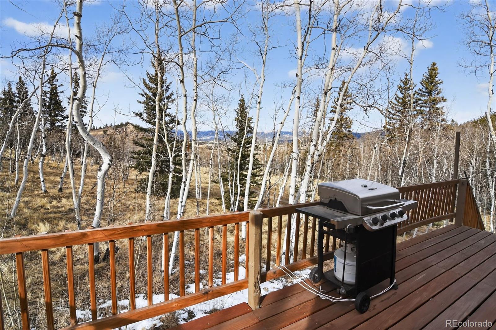 MLS Image #26 for 144  outlaw court,jefferson, Colorado