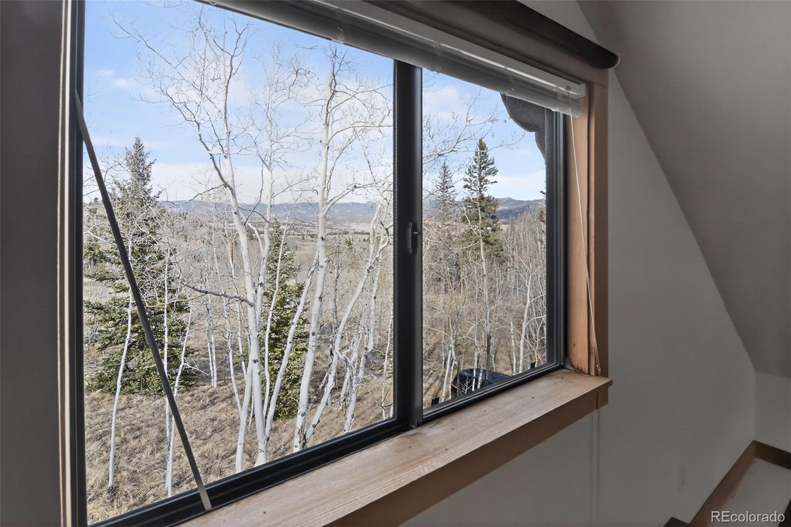 MLS Image #30 for 144  outlaw court,jefferson, Colorado