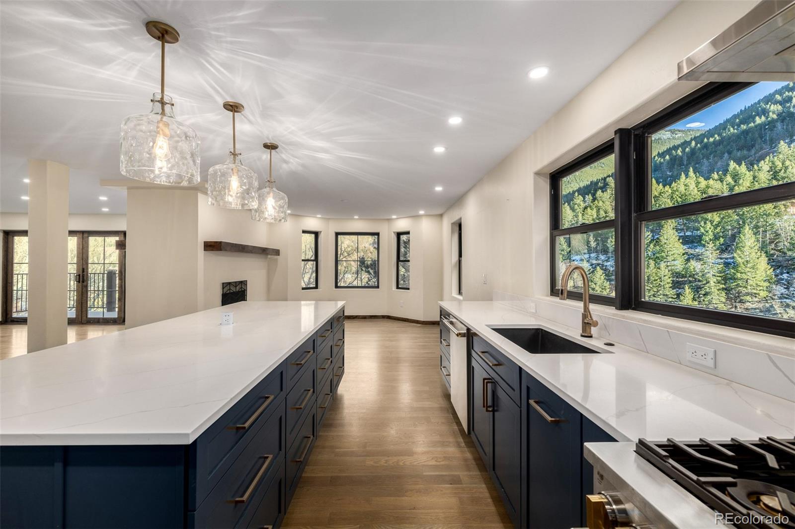 MLS Image #3 for 205  loop drive,georgetown, Colorado