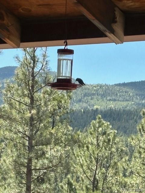 MLS Image #41 for 34  normandy road,evergreen, Colorado