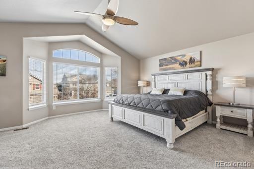 MLS Image #13 for 12013  singing winds street,parker, Colorado