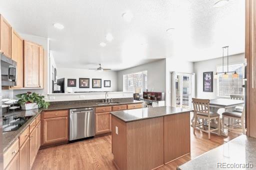 MLS Image #41 for 12013  singing winds street,parker, Colorado