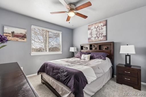 MLS Image #44 for 12013  singing winds street,parker, Colorado