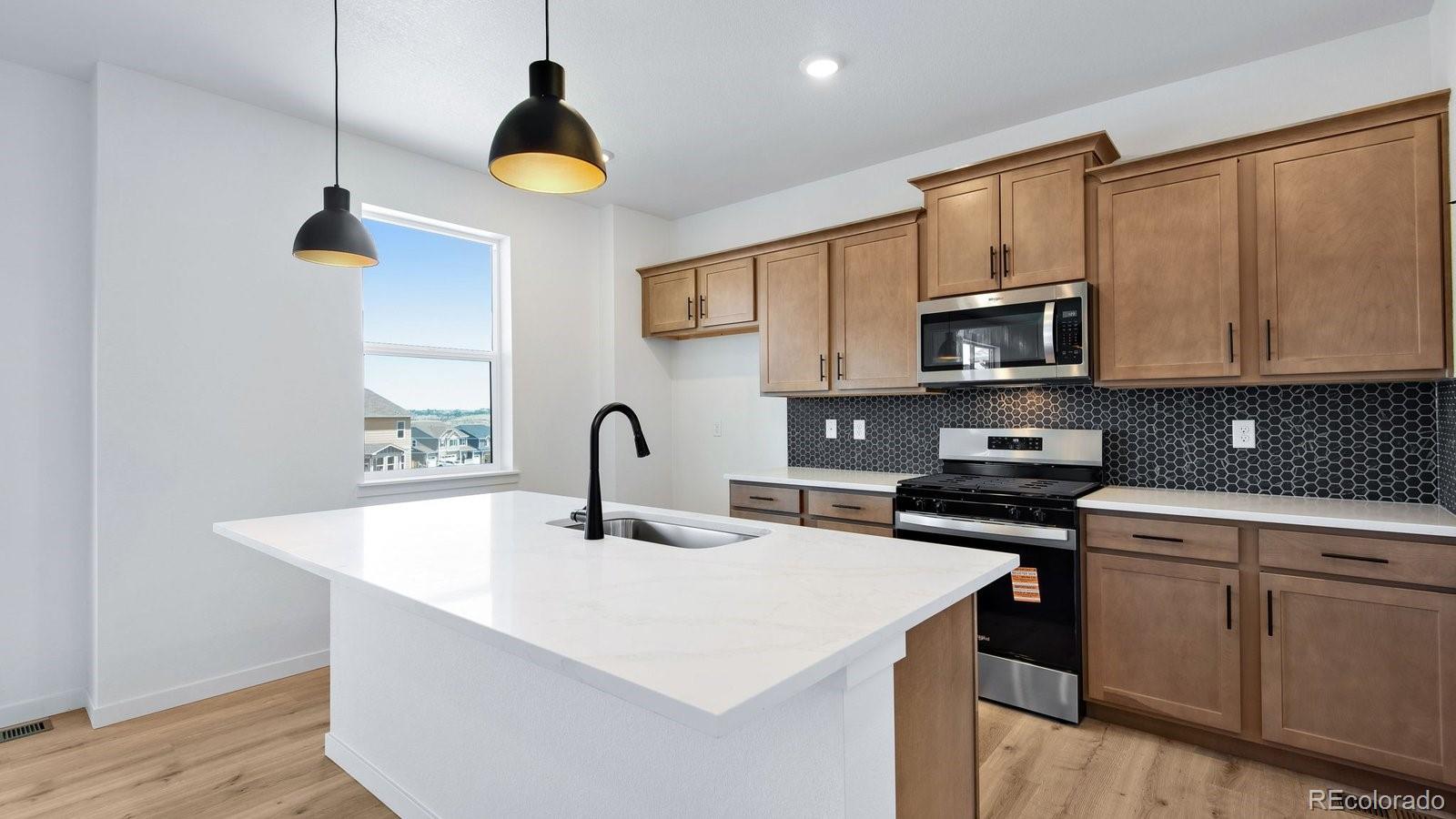 MLS Image #3 for 14020  alpine phlox lane,parker, Colorado