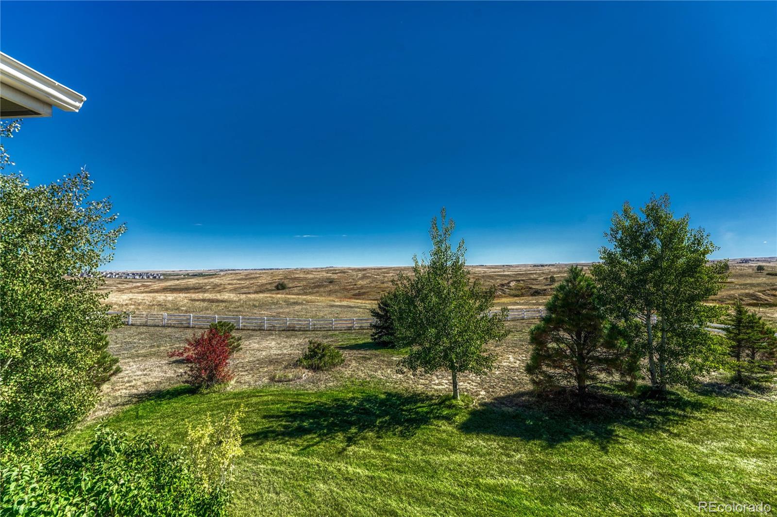 MLS Image #42 for 3648  tom mix circle,parker, Colorado