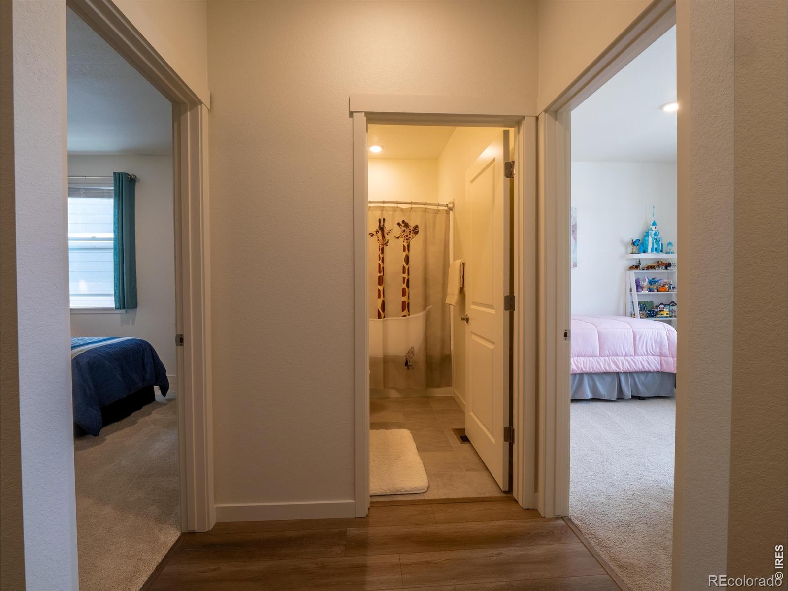MLS Image #10 for 18141  prince hill circle,parker, Colorado