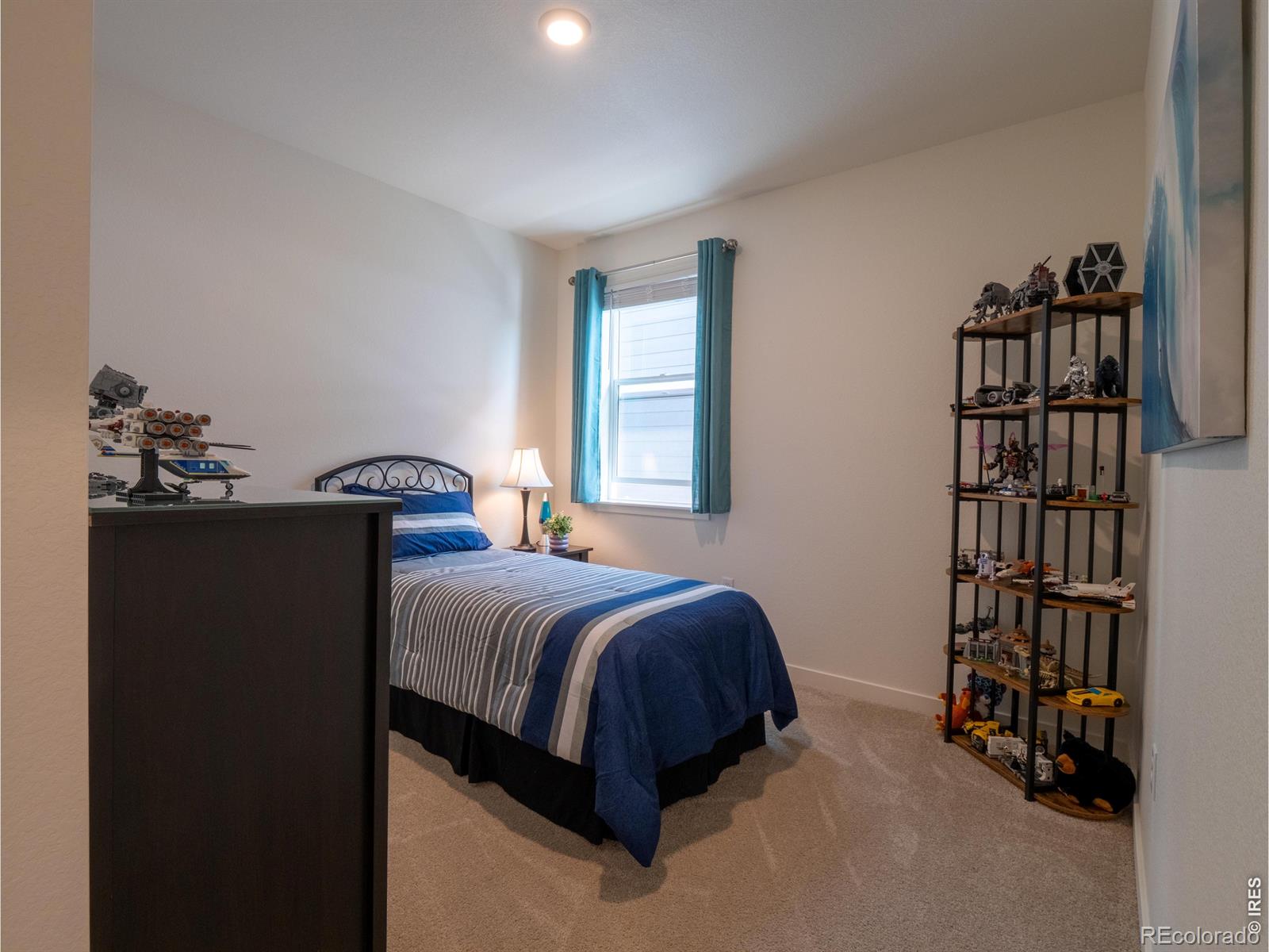MLS Image #12 for 18141  prince hill circle,parker, Colorado