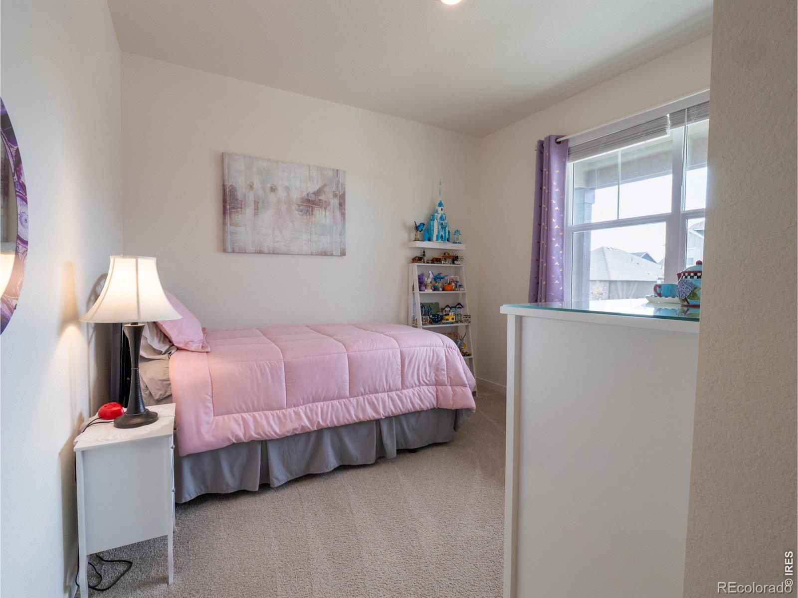 MLS Image #9 for 18141  prince hill circle,parker, Colorado